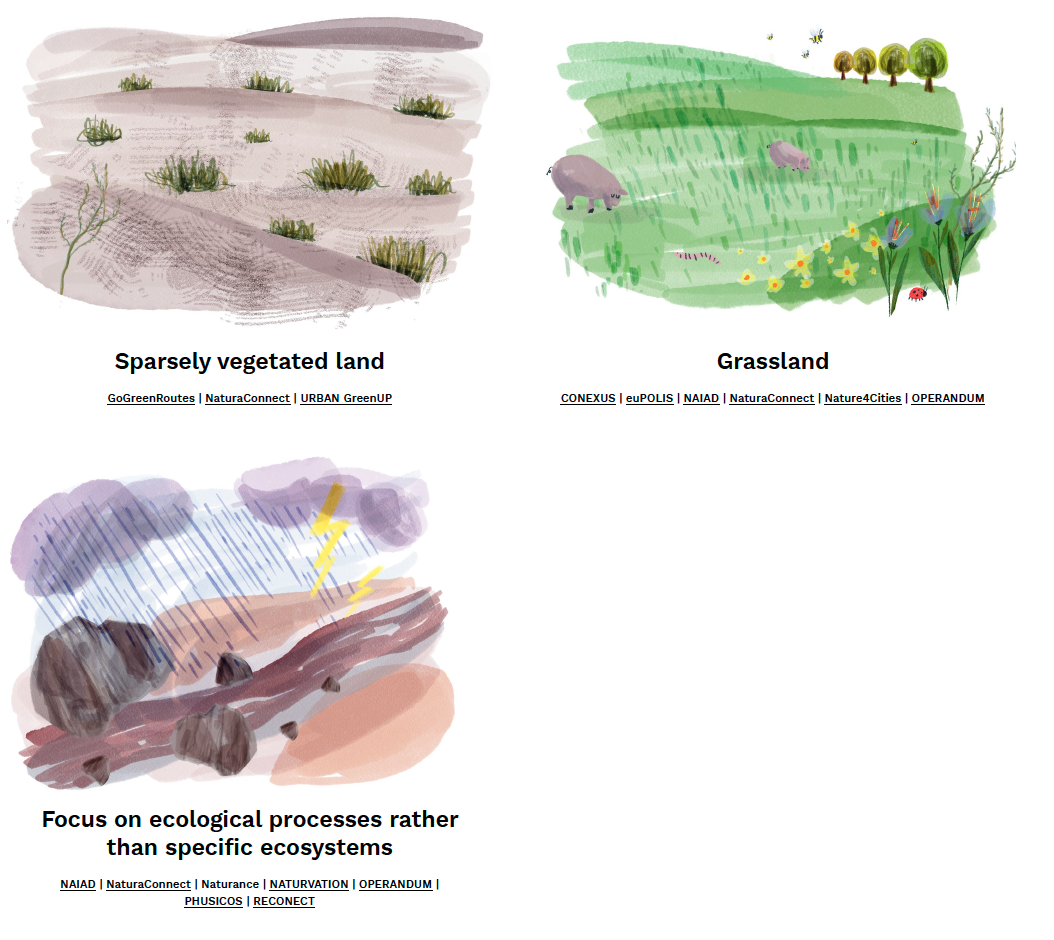 URBAN GreenUP  NetworkNature